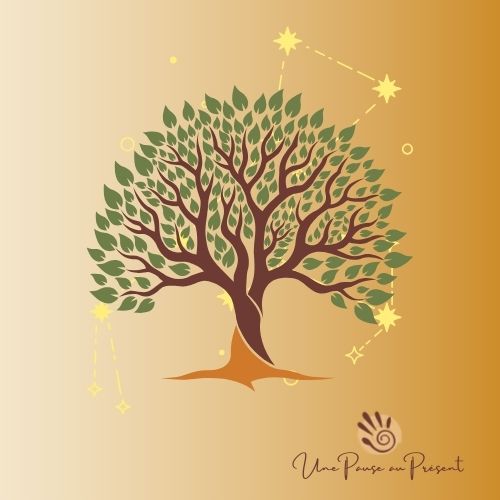 Logo-Constellation (2)